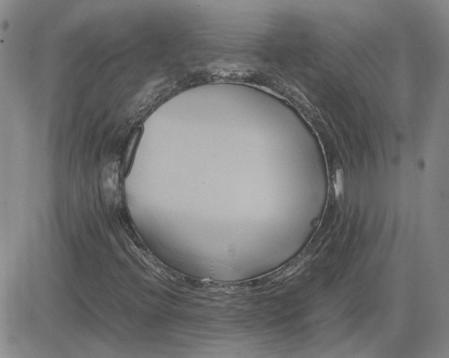 X0000083621396200702260941