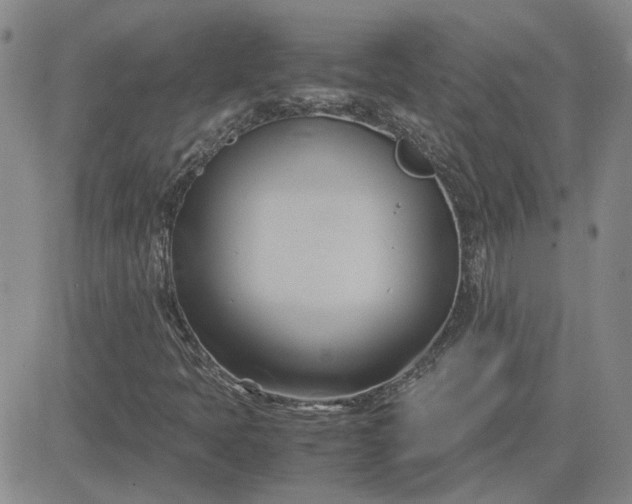 X0000083621397200702260941