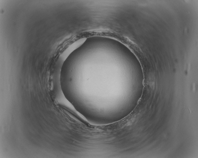 X0000083621398200702260941