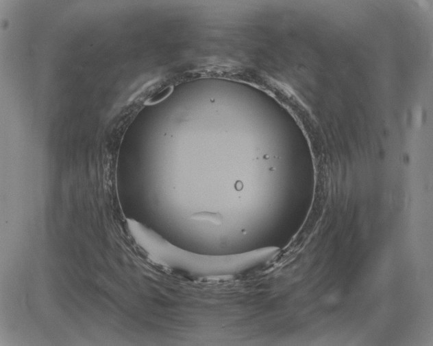 X0000083621399200702260941