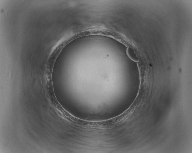 X0000083621400200702260941