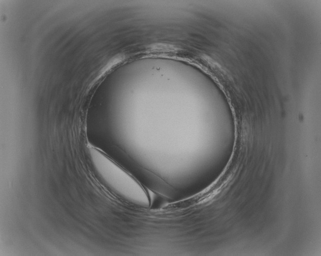 X0000083621401200702260941