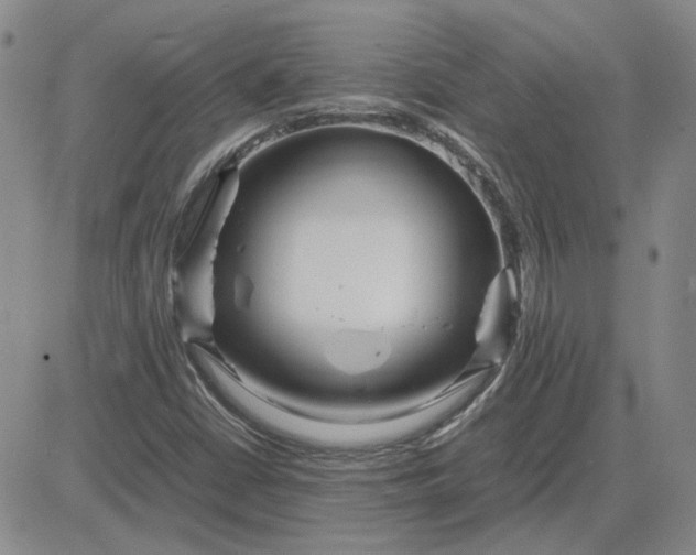 X0000083621402200702260941