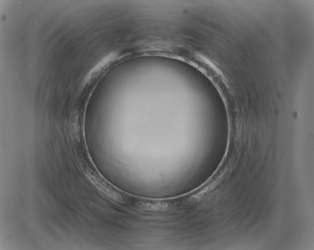 X0000083621403200702260941