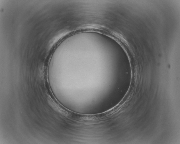 X0000083621404200702260941