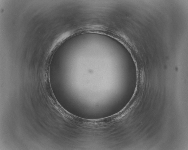 X0000083621405200702260941