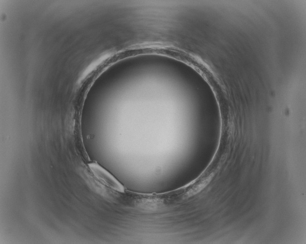 X0000083621406200702260941