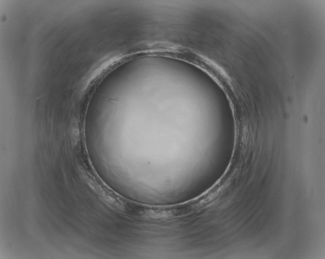 X0000083621407200702260941