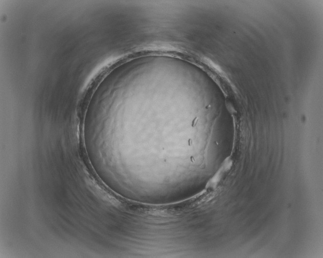 X0000083621408200702260942