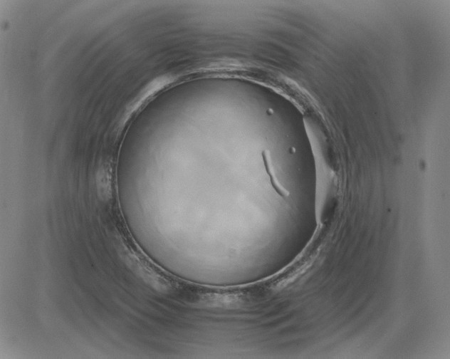 X0000083621409200702260942