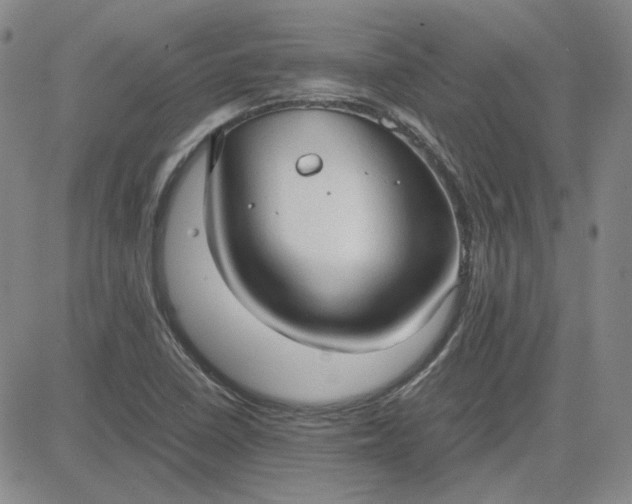 X0000083621410200702260942