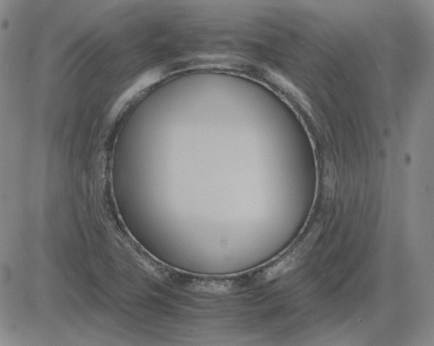 X0000083621411200702260942