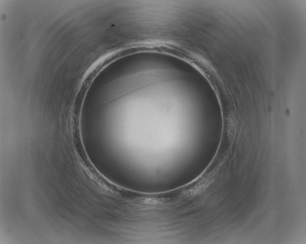 X0000083621412200702260942