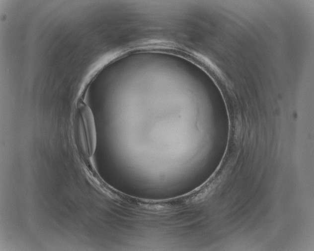 X0000083621413200702260942