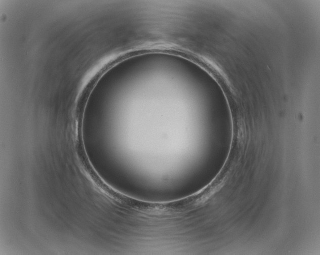 X0000083621414200702260942