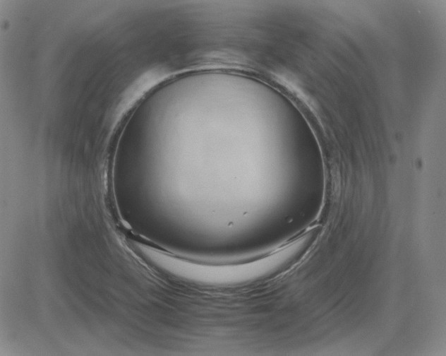 X0000083621415200702260942