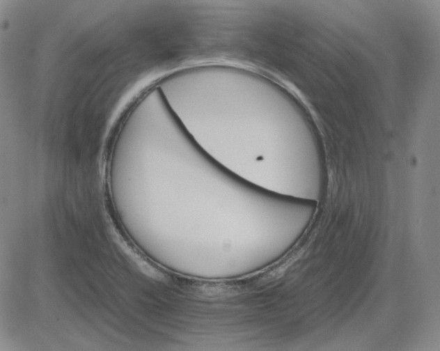 X0000083621416200702260942