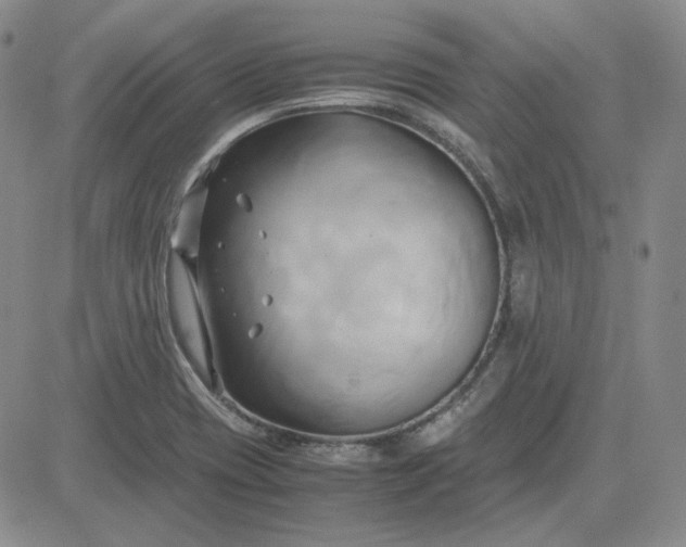 X0000083621417200702260942