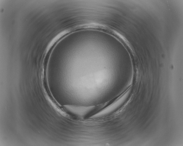 X0000083621418200702260942