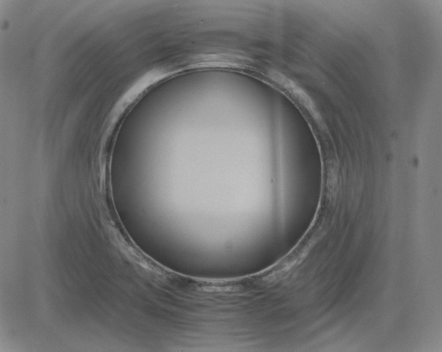 X0000083621419200702260942