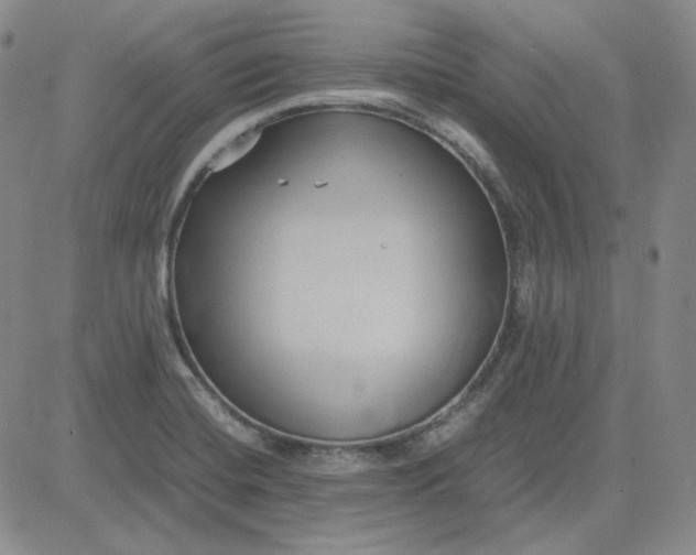 X0000083621420200702260942