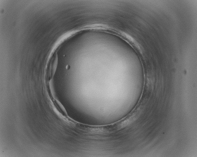 X0000083621421200702260942