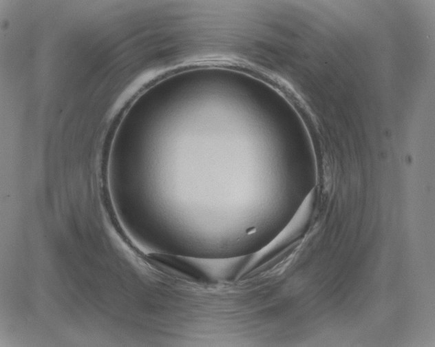 X0000083621422200702260942