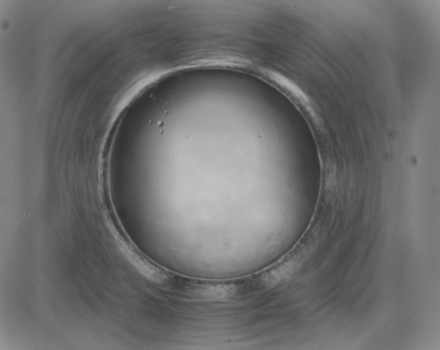 X0000083621423200702260942