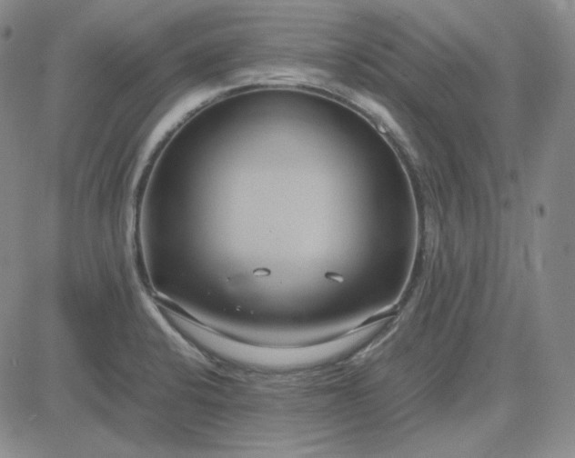 X0000083621424200702260942