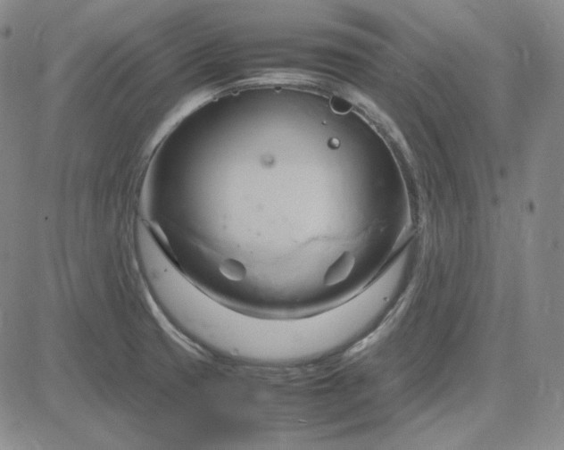 X0000083621425200702260942