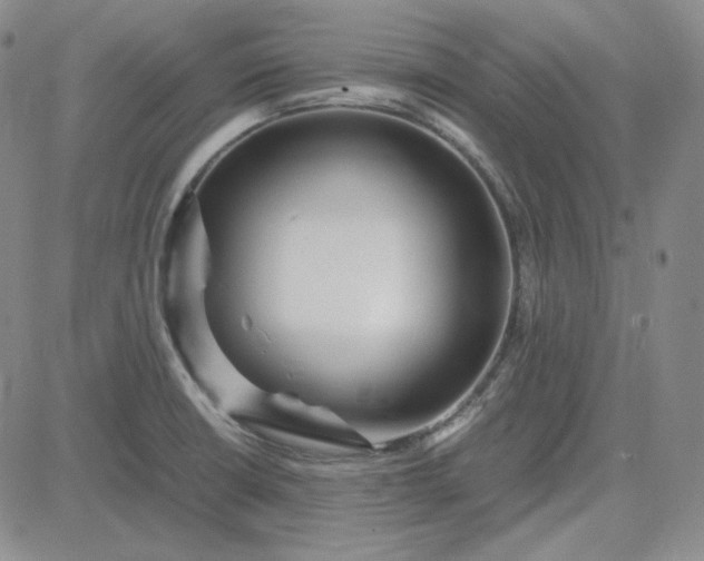 X0000083621426200702260942