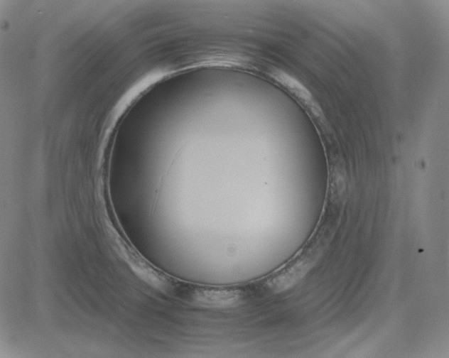 X0000083621427200702260942