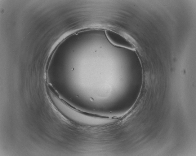 X0000083621428200702260942