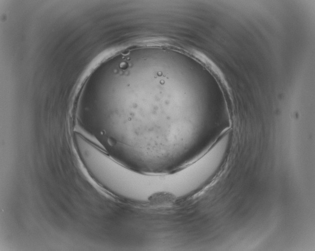 X0000083621429200702260942