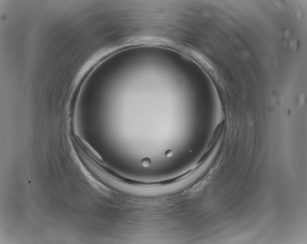 X0000083621430200702260942