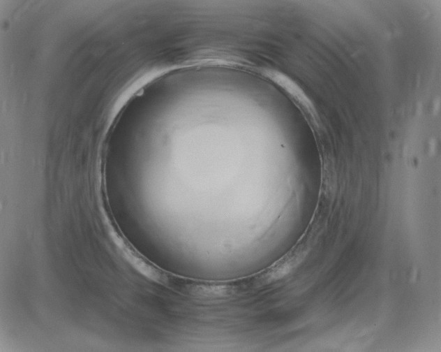 X0000083621431200702260942