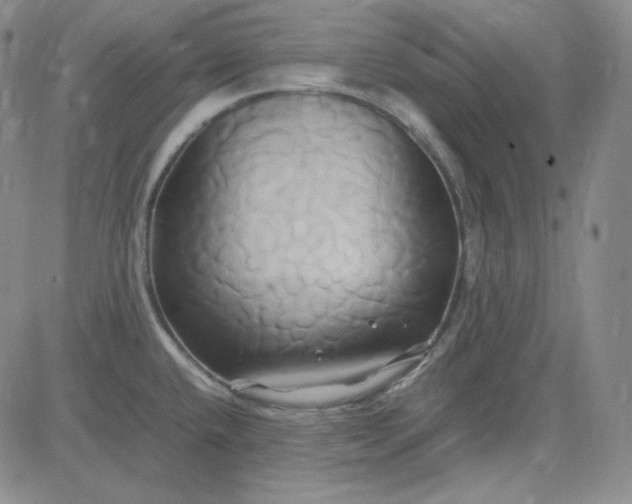 X0000083621432200702260942