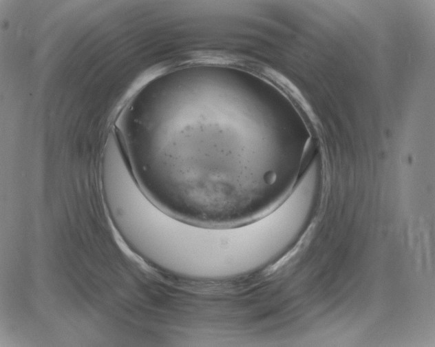 X0000083621433200702260942