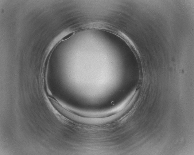 X0000083621434200702260942