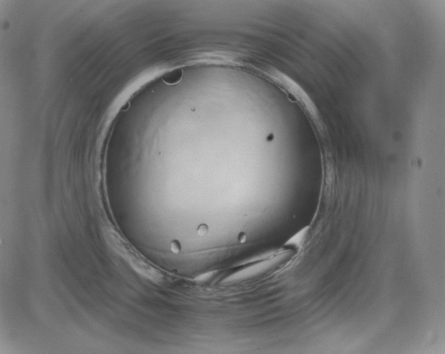 X0000083621435200702260942