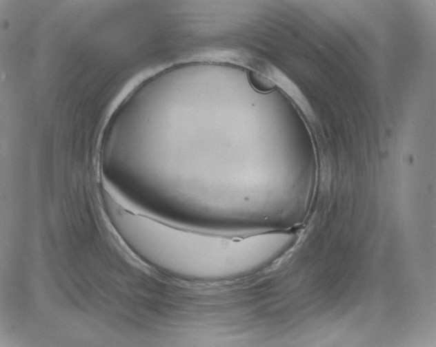 X0000083621436200702260942