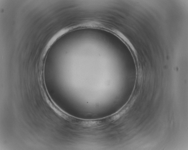 X0000083621437200702260942