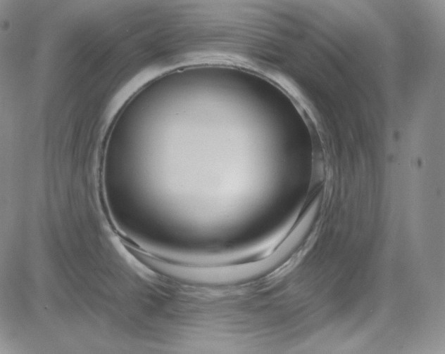 X0000083621438200702260942