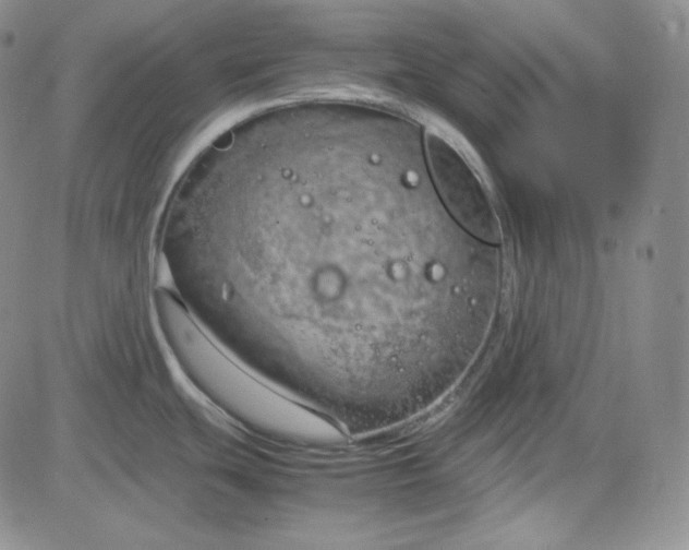 X0000083621439200702260942