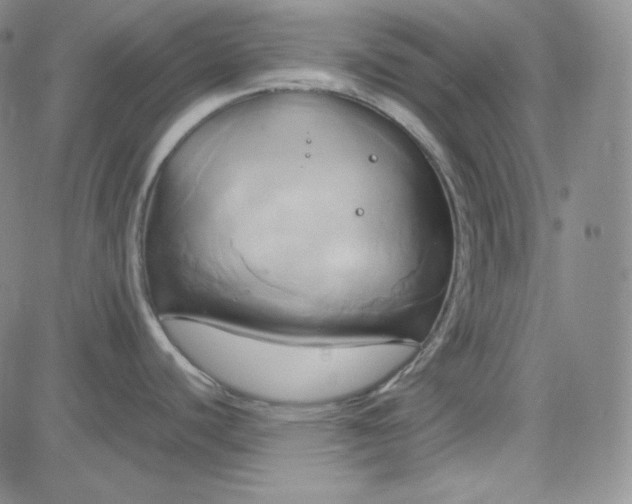 X0000083621440200702260942