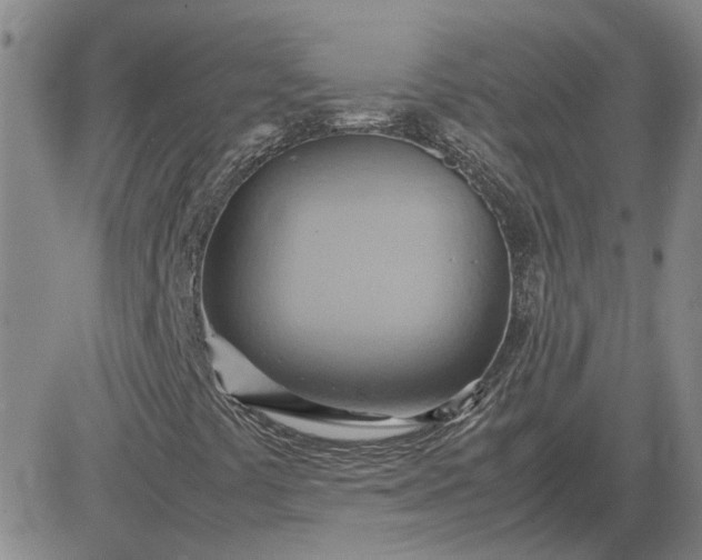 X0000083621441200702260941