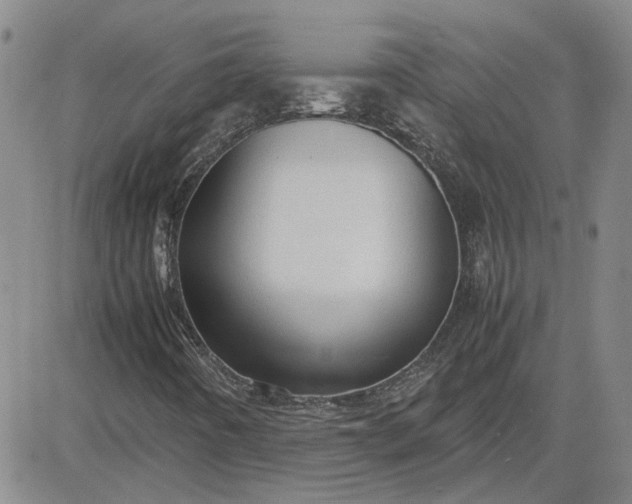 X0000083621442200702260941