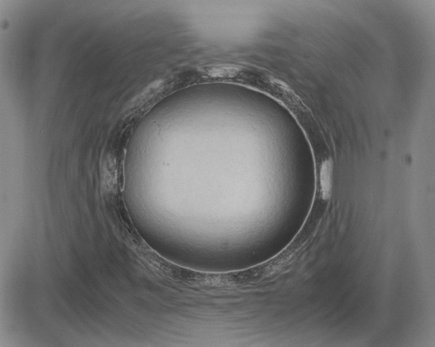 X0000083621443200702260941