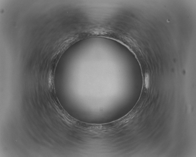 X0000083621444200702260941