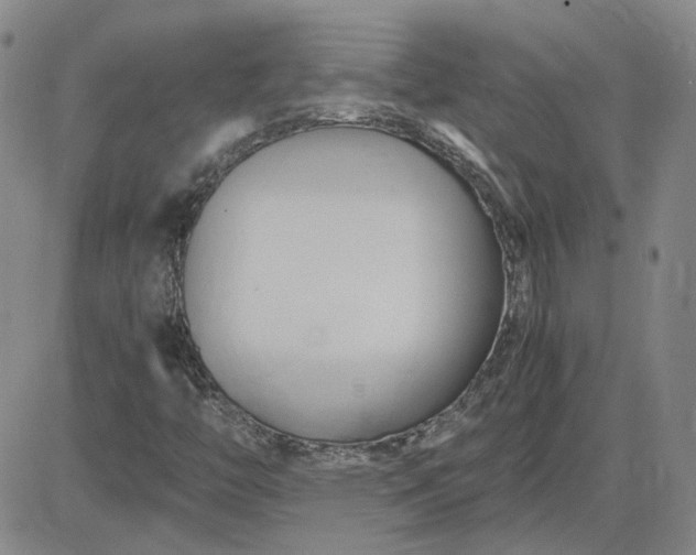 X0000083621446200702260941